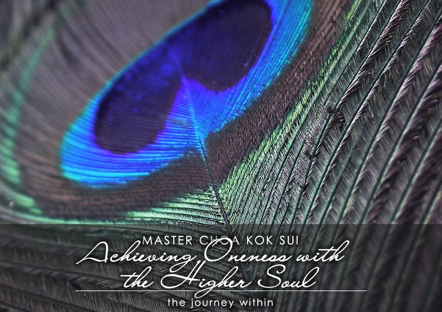 Achieving Oneness with the Higher Soul